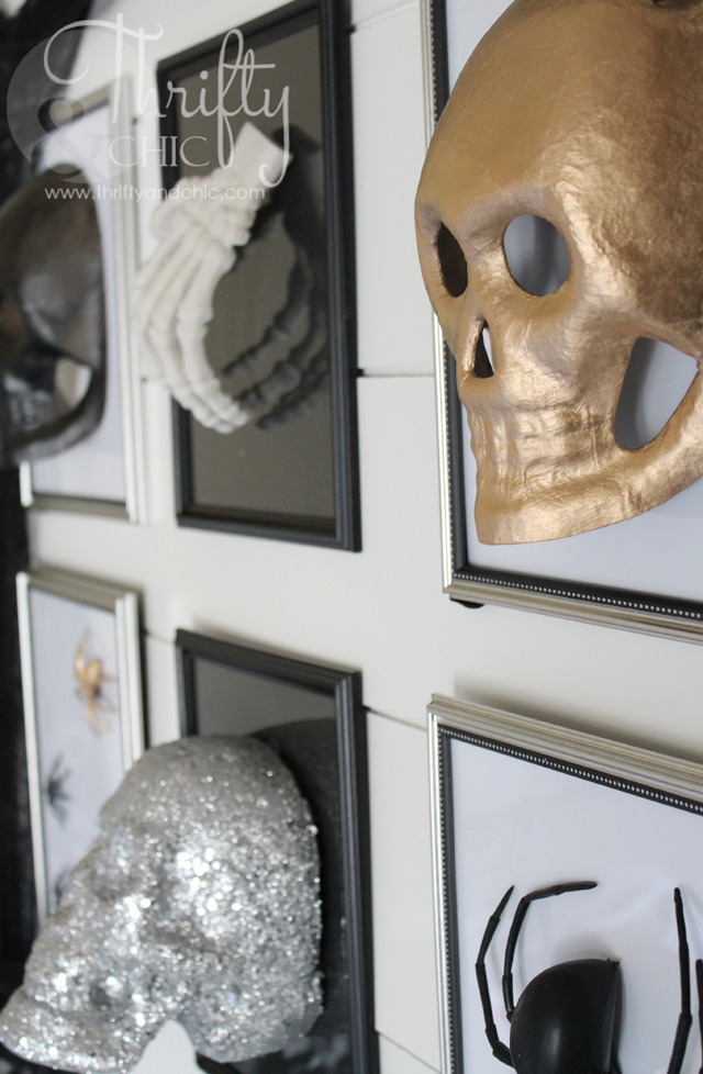 3D Halloween specimen gallery wall using dollar store frames and finds.