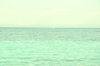 DSC_0665.jpg