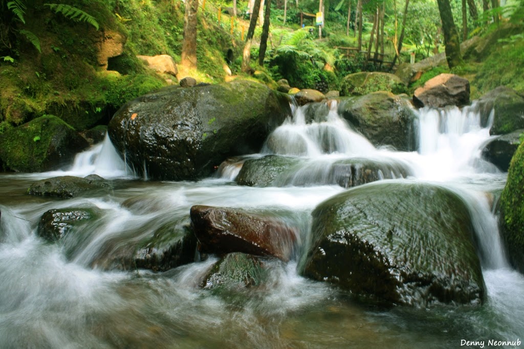 Air terjun Jumog Air terjun Jumog
