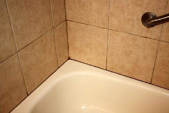 Remove All Stains Com How To Mold From Shower Grout How To Remove Mold From Shower Grout