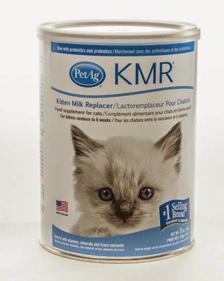 Petsmart Cat Adoptions Volunteer Petsmart Cat Adoptions Volunteer