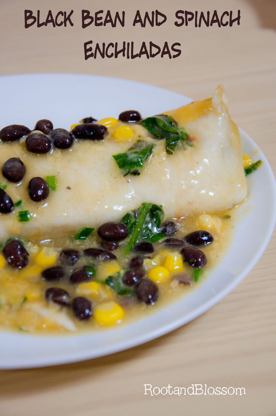 Rootandblossom Black Bean and Spinach Enchiladas