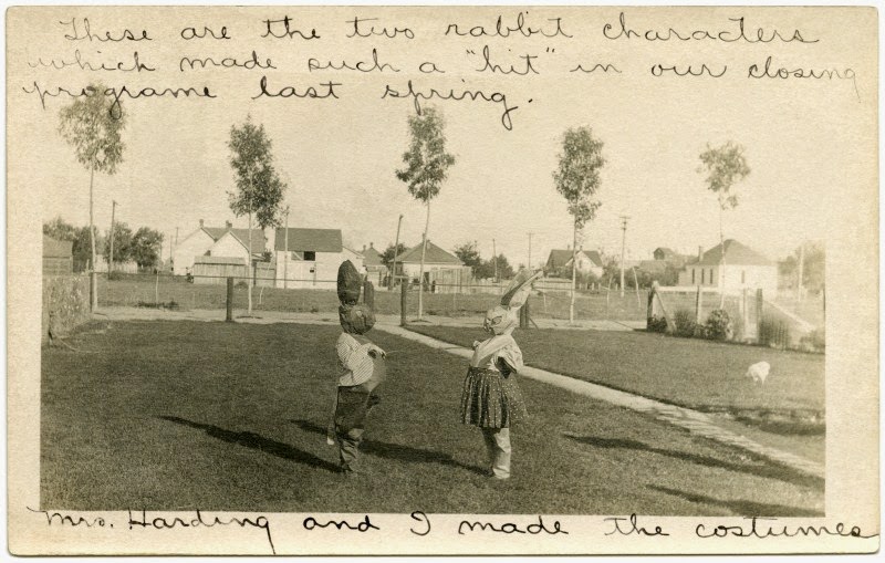 Rabbit Characters, Ault, Colorado, 1910 vintage everyday