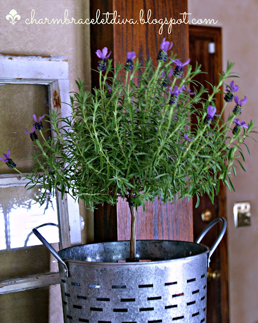 Our Hopeful Home Fresh Lavender Topiary
