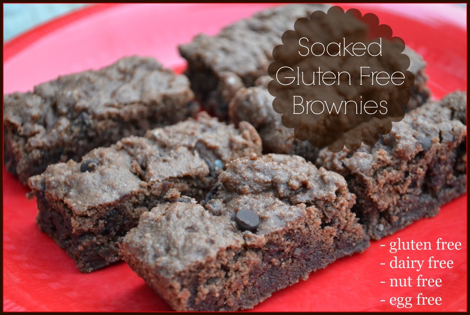 Homemade Dutch Apple Pie Soaked Gluten Free Brownies (dairy free, egg