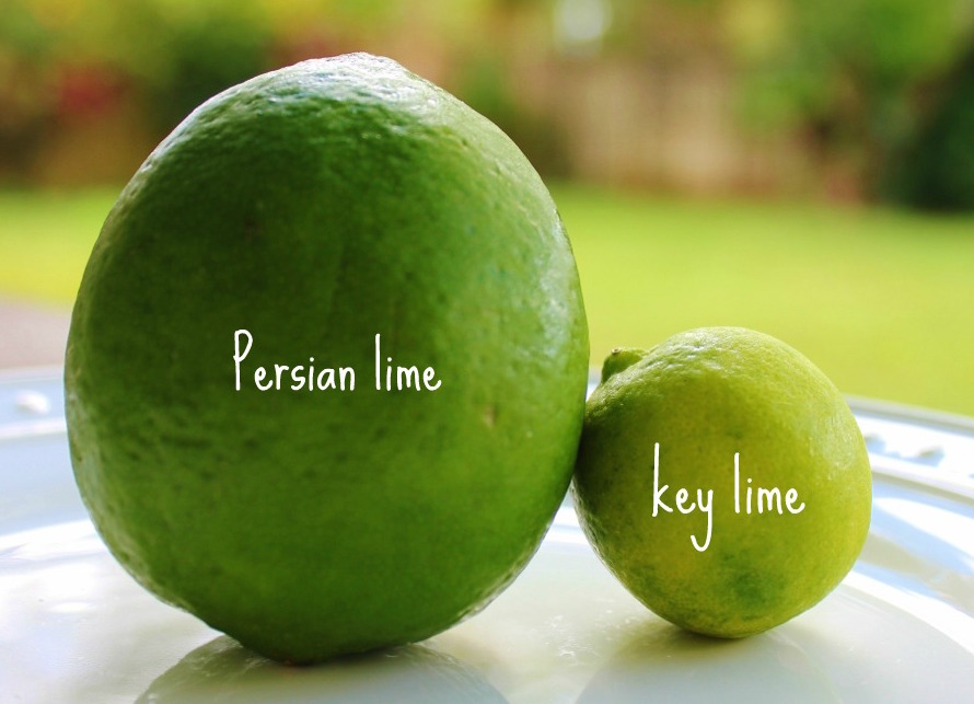 Blueberry Key Lime Jam Not all limes are created equal! Canning