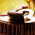 Rongali Bihu: Heralding spring