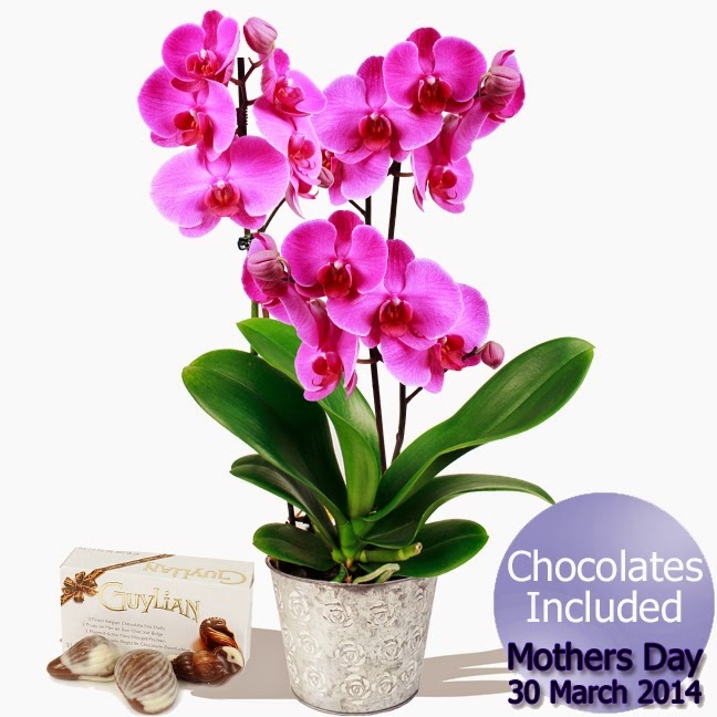 Mothers day 2014 Mothers day 2014 flowers gifts
