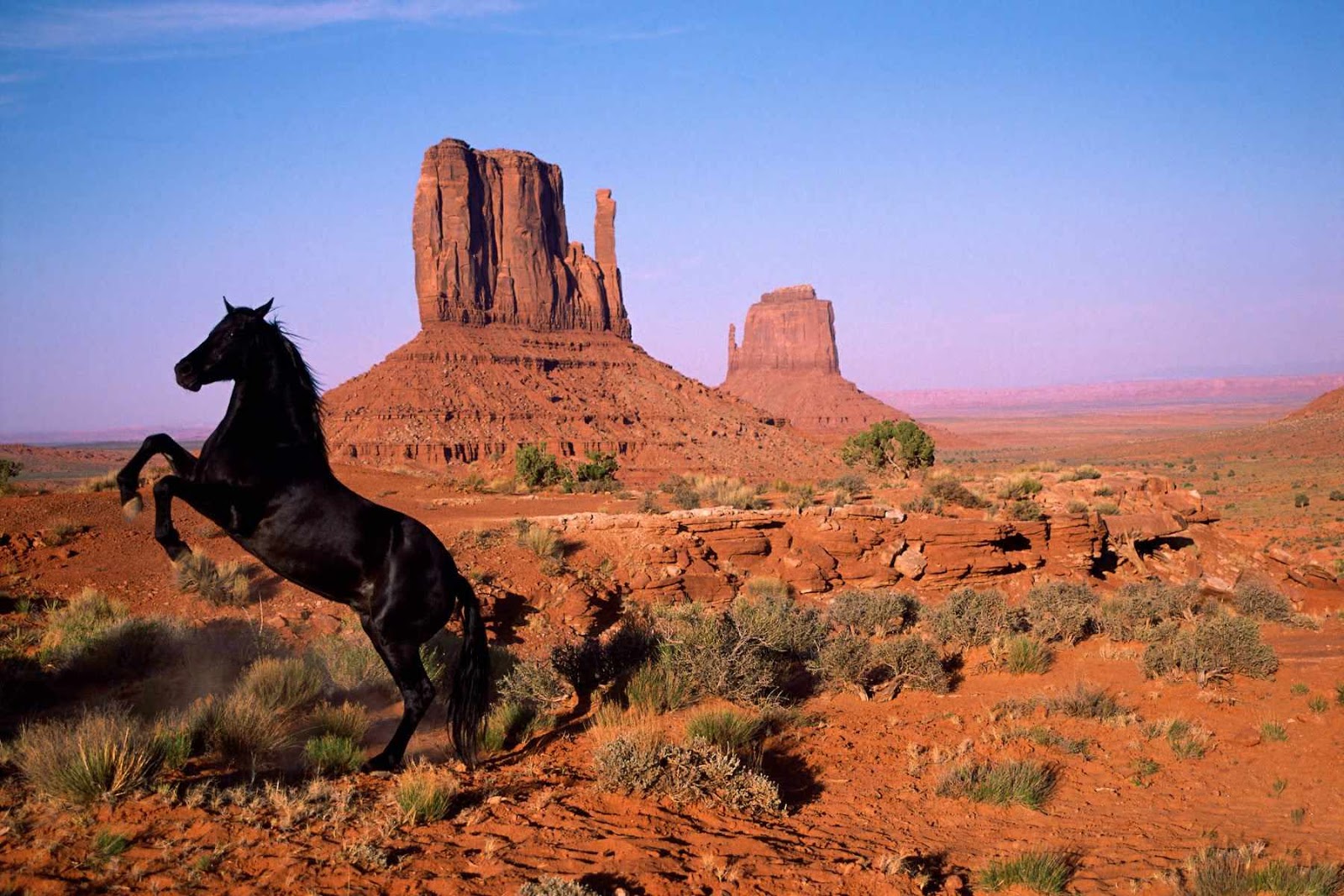 http://2.bp.blogspot.com/-tDkDzE1Qg98/T3ATd9DiGJI/AAAAAAAALAc/1LzpeMUV8Cc/s1600/caballos,zoomgraf.blogspot+%2815%29.jpg