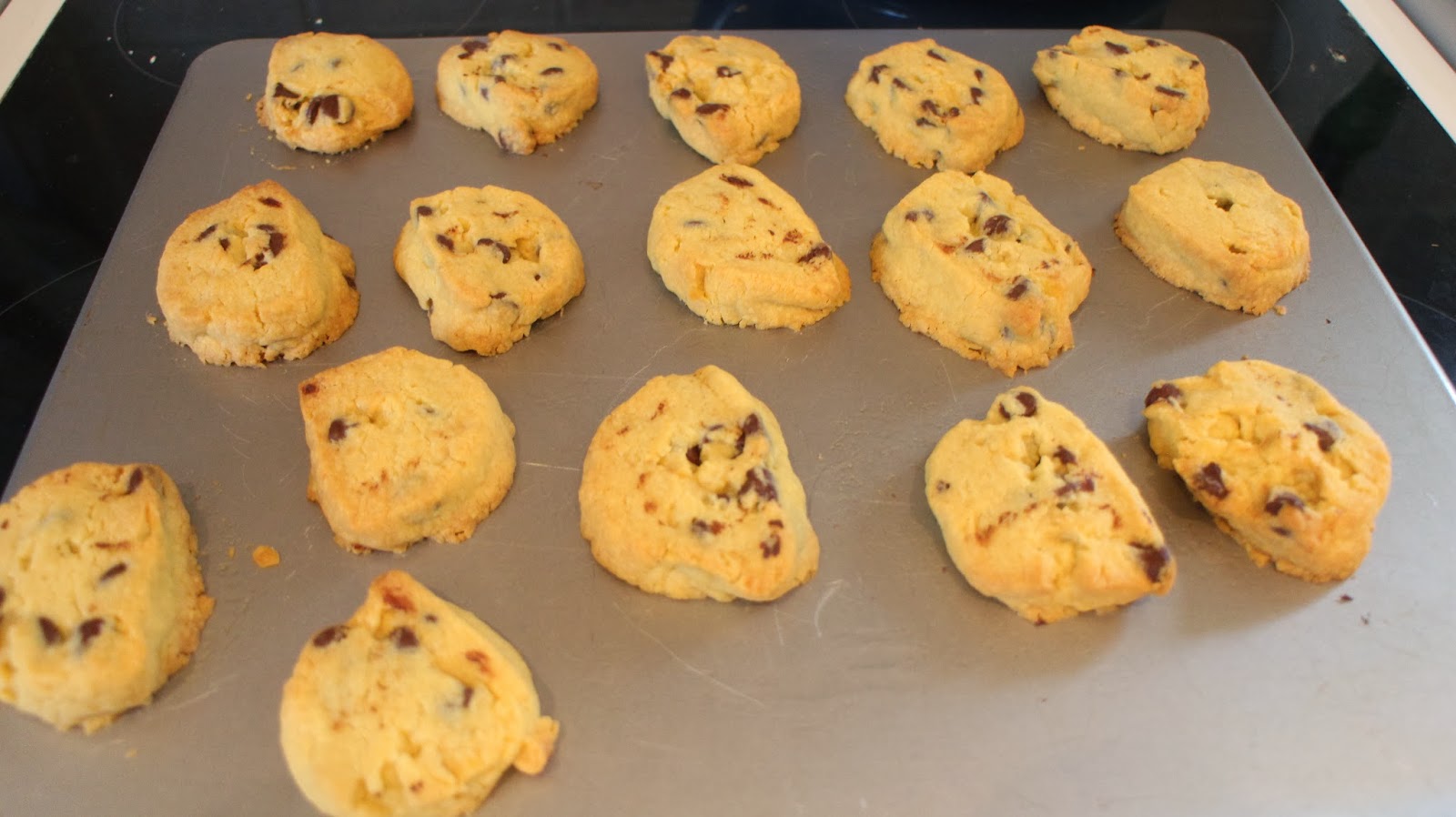 Chocolate Chip Shortbread Biscuits The Witt Family
