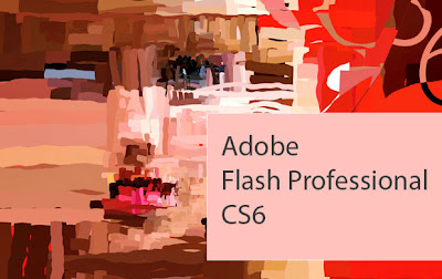 adobe flash cs6 ebook
