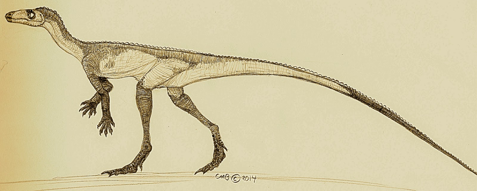 Christian Paleobiology Art Marasuchus lilloensis
