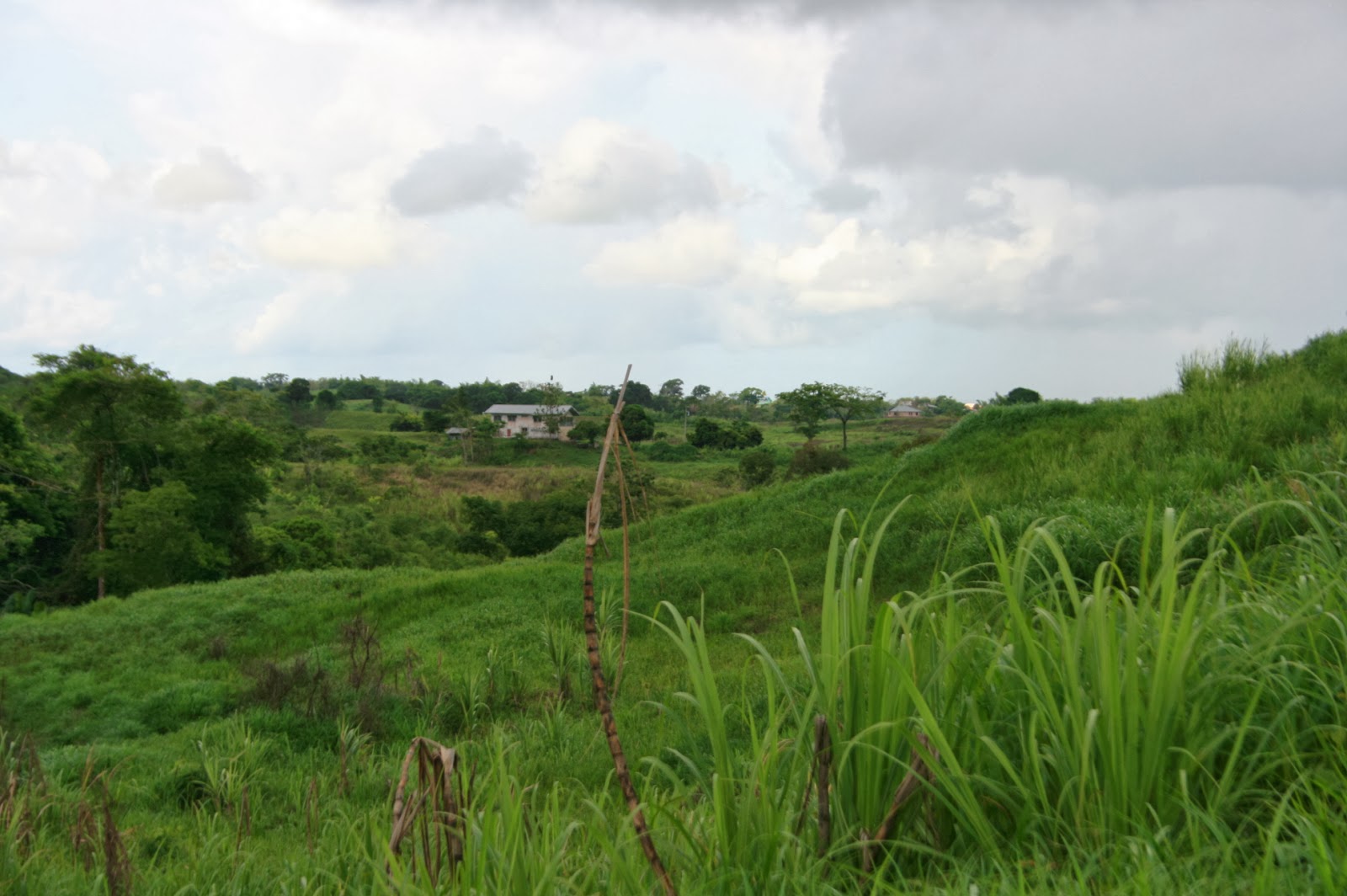 Land In Trinidad