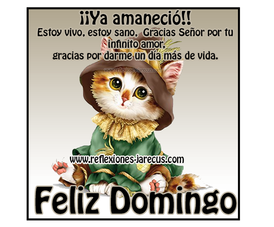 Resultado de imagen para DOMINGO