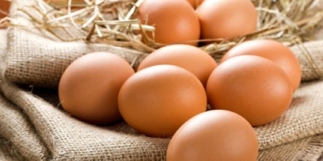 3. Urine Eggs 3. Urine Eggs