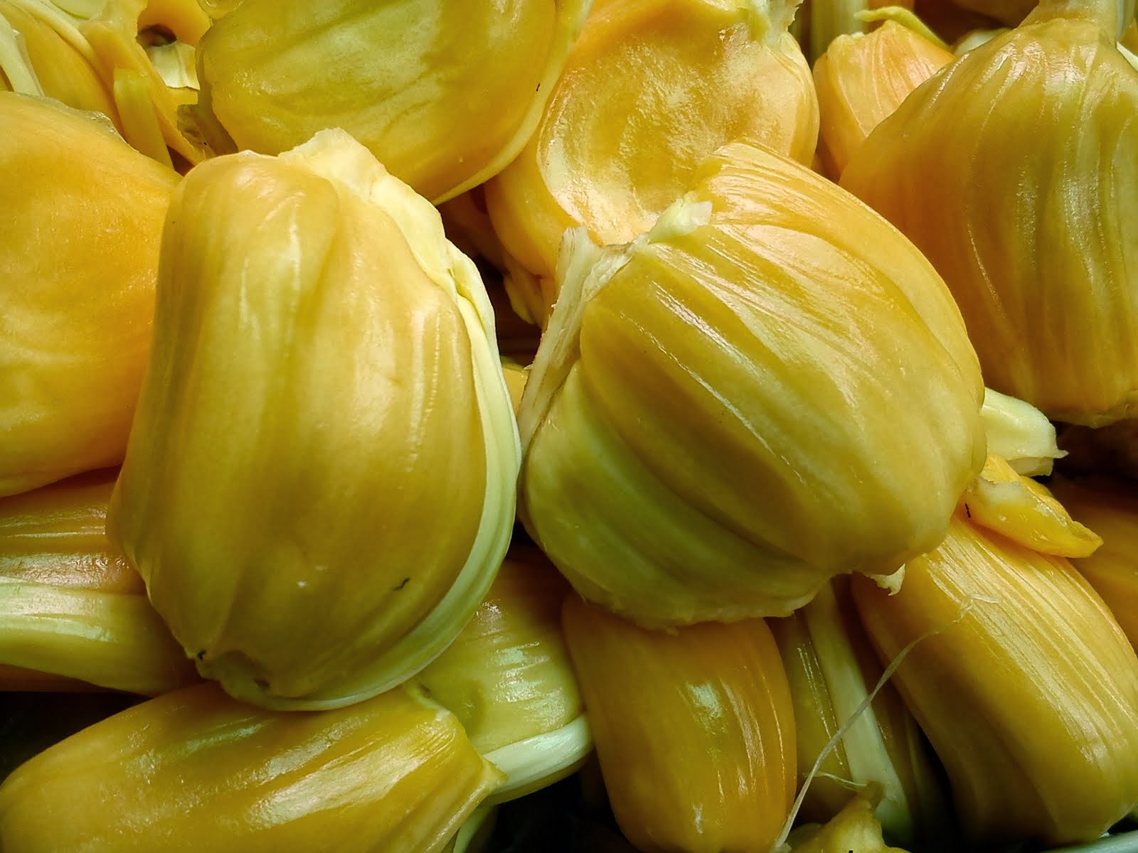 Buah Nangka Manfaat Buah Nangka Bagi Kesehatan
