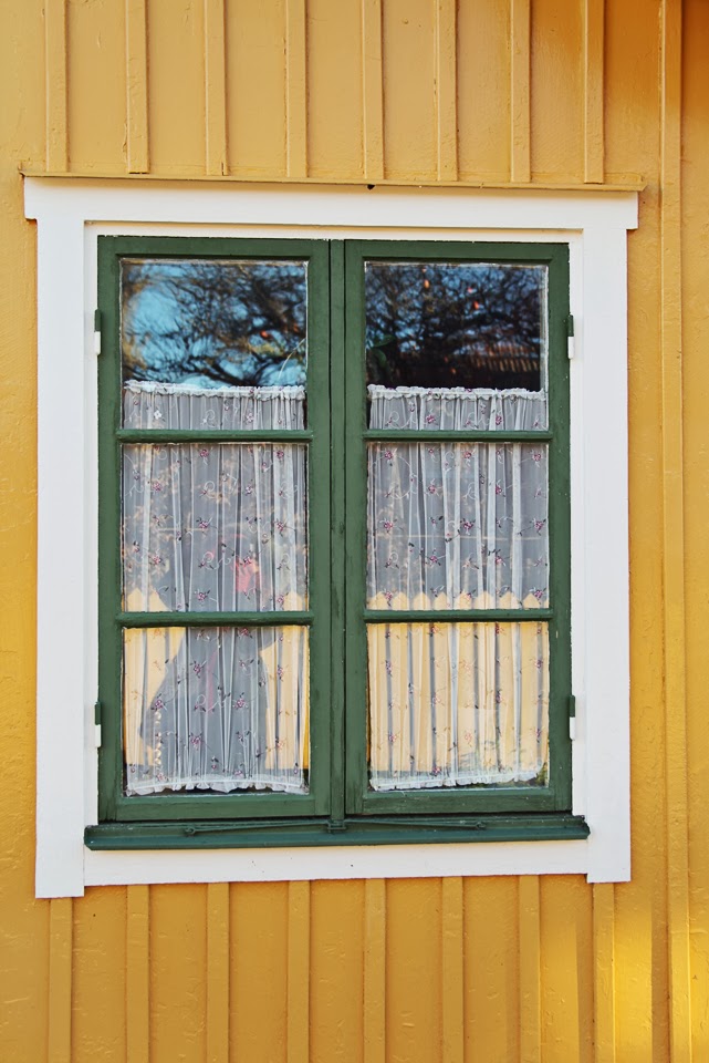 Swedish Windows Janice Issitt Life and Style