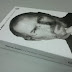 Biografi Steve Jobs Laris Manis Di Amazon