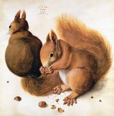 Albrecht Dürer: Egern