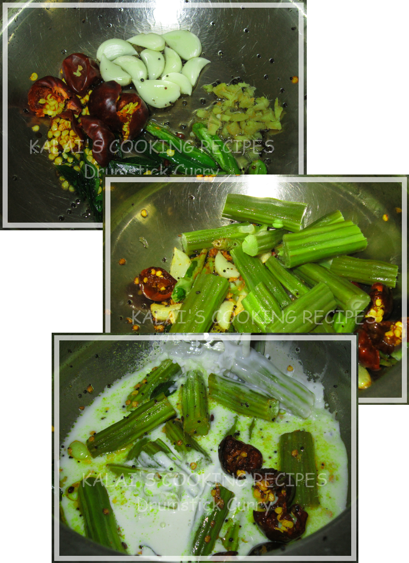 KALAI'S COOKING RECIPES Drumstick Coconut Milk Curry Murungakkai