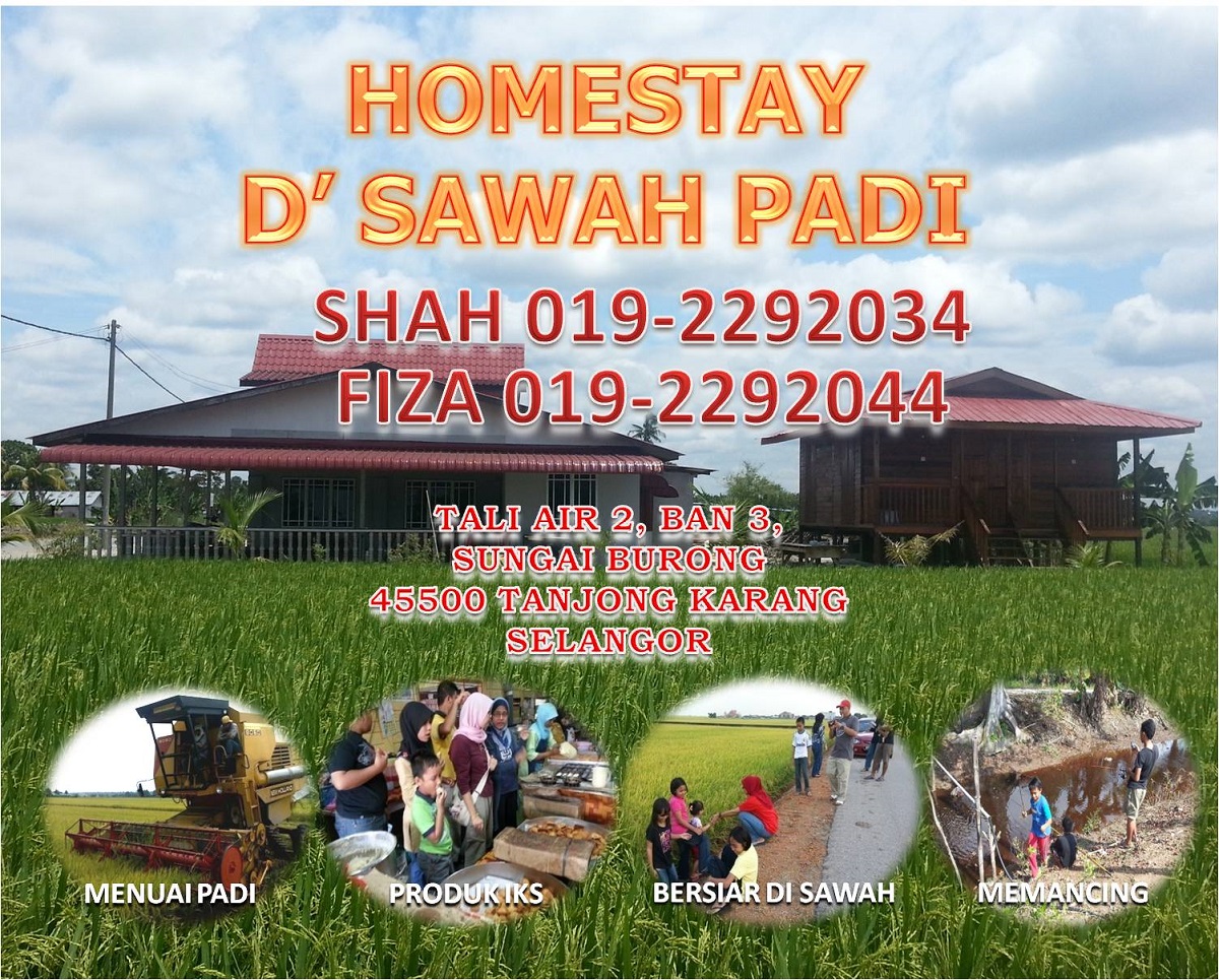 Homestay D' Sawah Padi Tanjung Karang