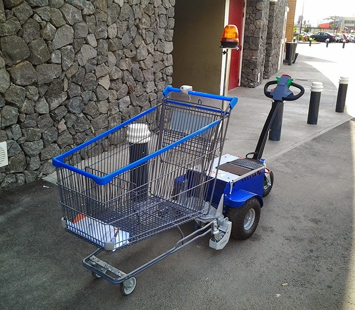 Cart movers Zallys April 2015