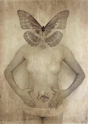 Poéticas de cuerpo- Poemas de MARGARET ATWOOD