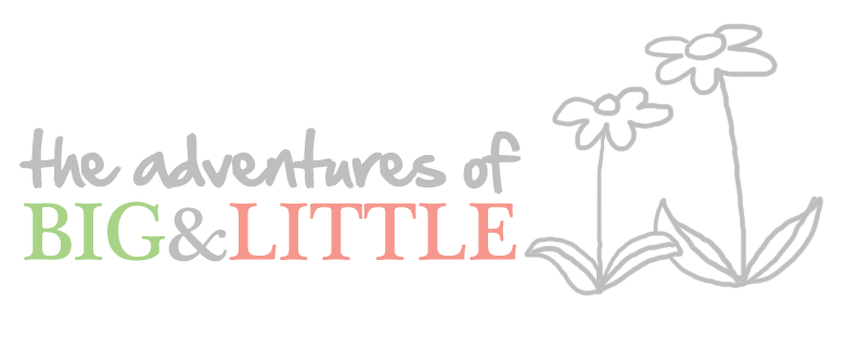 The Adventures of Big & Little