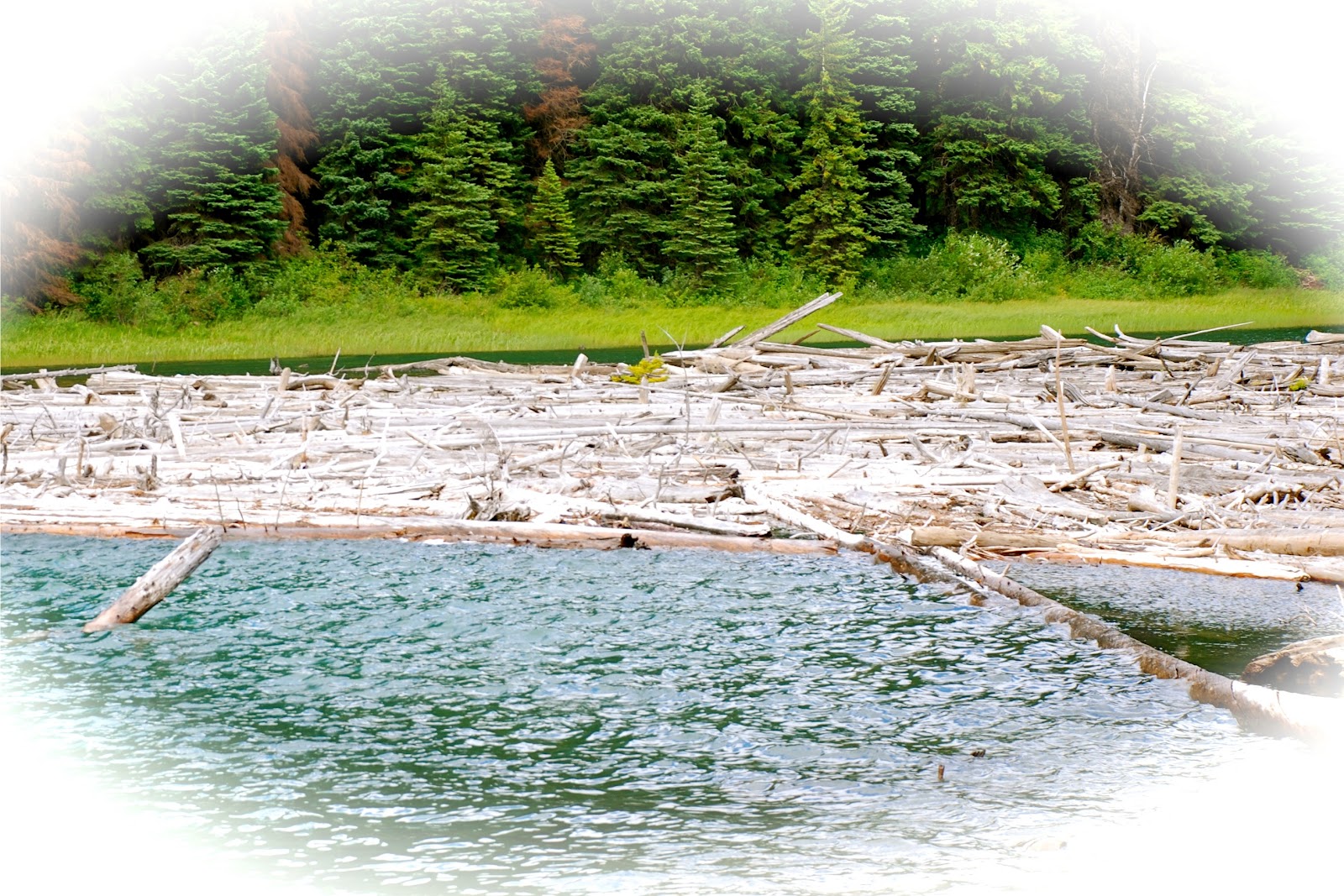 The Story of the Log Jam Better is Possible