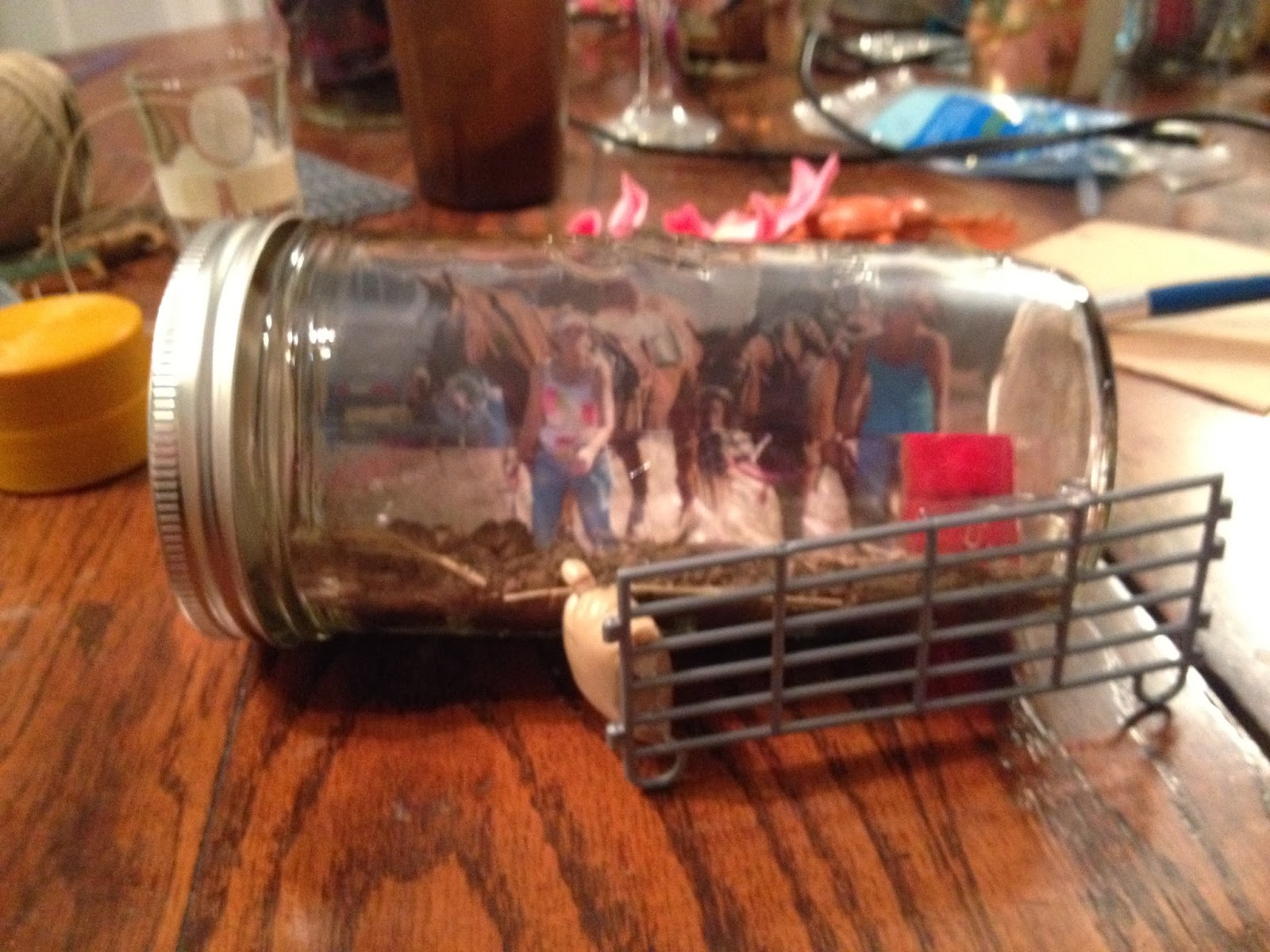 Hot Glue Gun Chronicles Mason Jar Pictures!