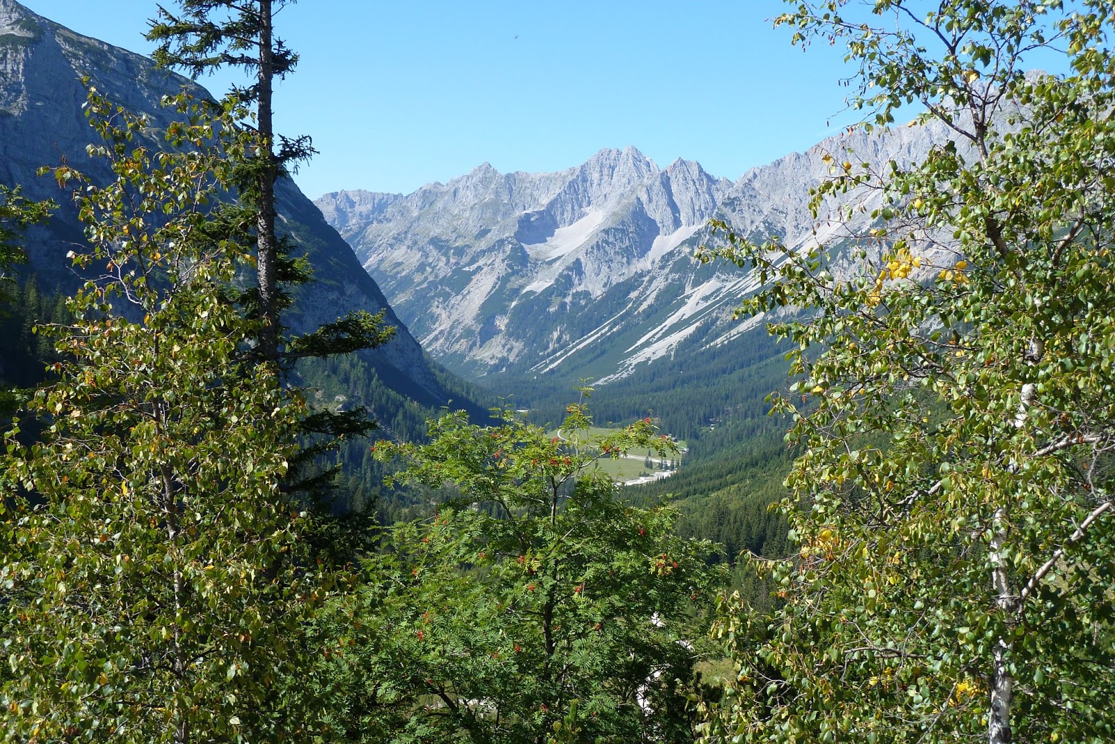 Tazzys Welt 09 01 2014 10 01 2014