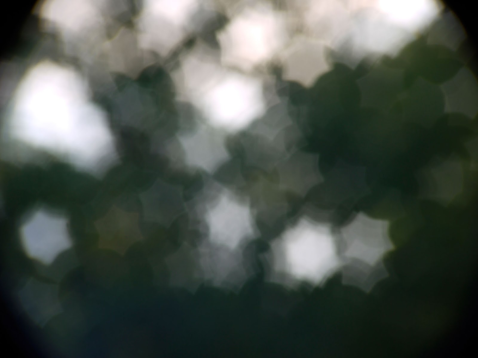 Canon V6x17 17-102/2.0 C-mount - 102mm @8.0 - six-pointed star-shaped bokeh. Canon V6x17 17-102/2.0 C-mount - 102mm @8.0 - six-pointed star-shaped bokeh.
