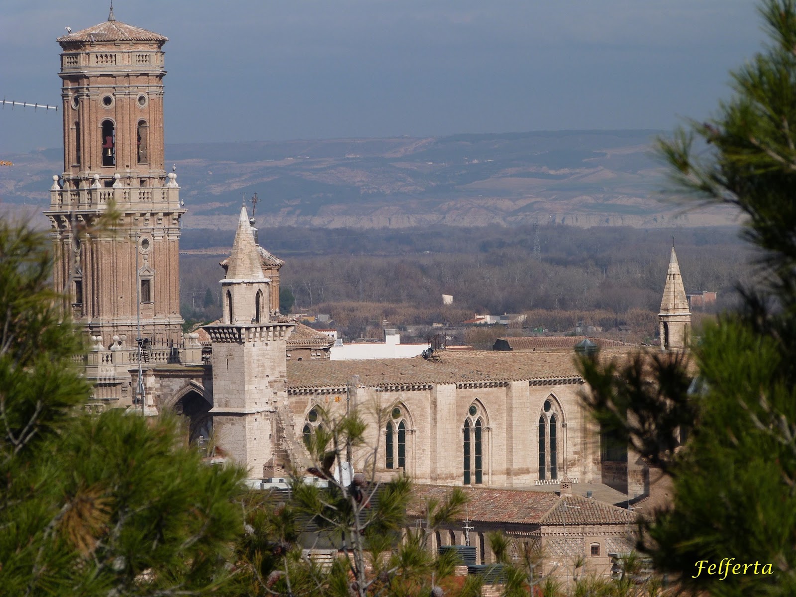 desde mi mejana La Torre Monreal