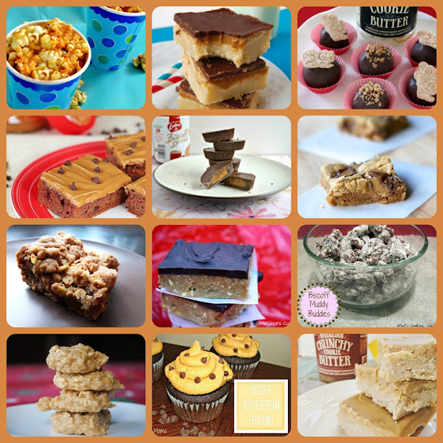 Frugal Foodie Mama Cookie Butter Cookie Ice Cream Sandwiches {Guest