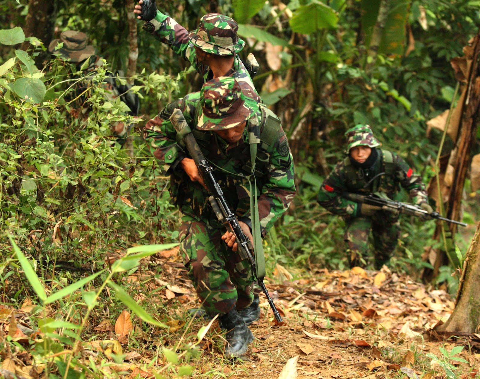 Indian, Indonesian Troops Conduct Joint Jungle Warfare Drill