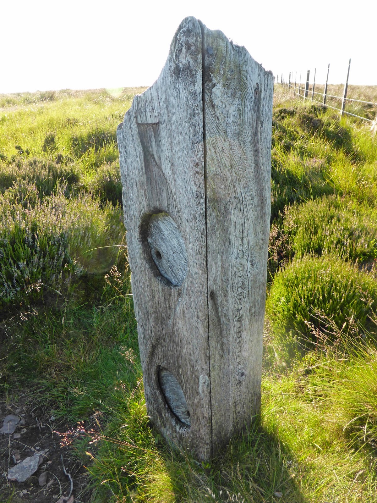 MTB Innerwick Stravaiger The 'Herring Road'