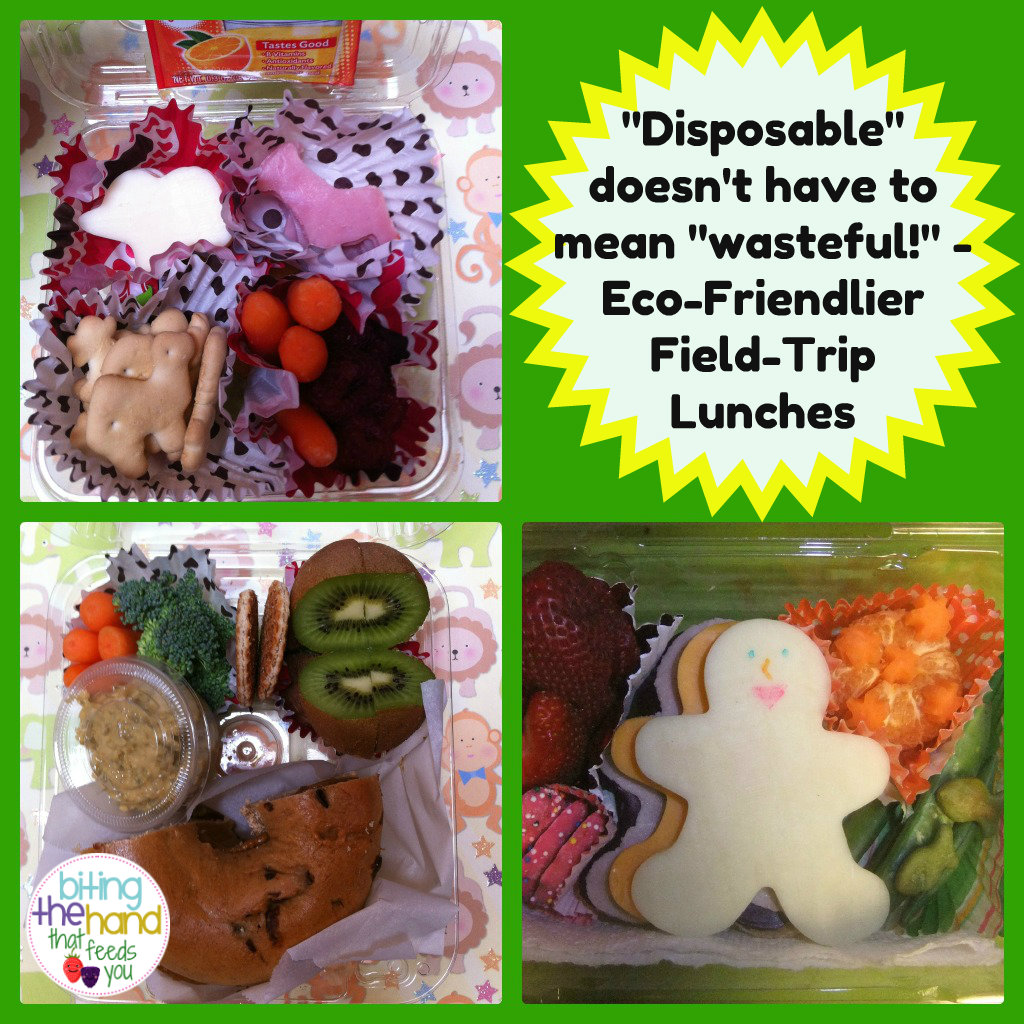 Bento-logy: Field Trip - Disposable Lunch #2