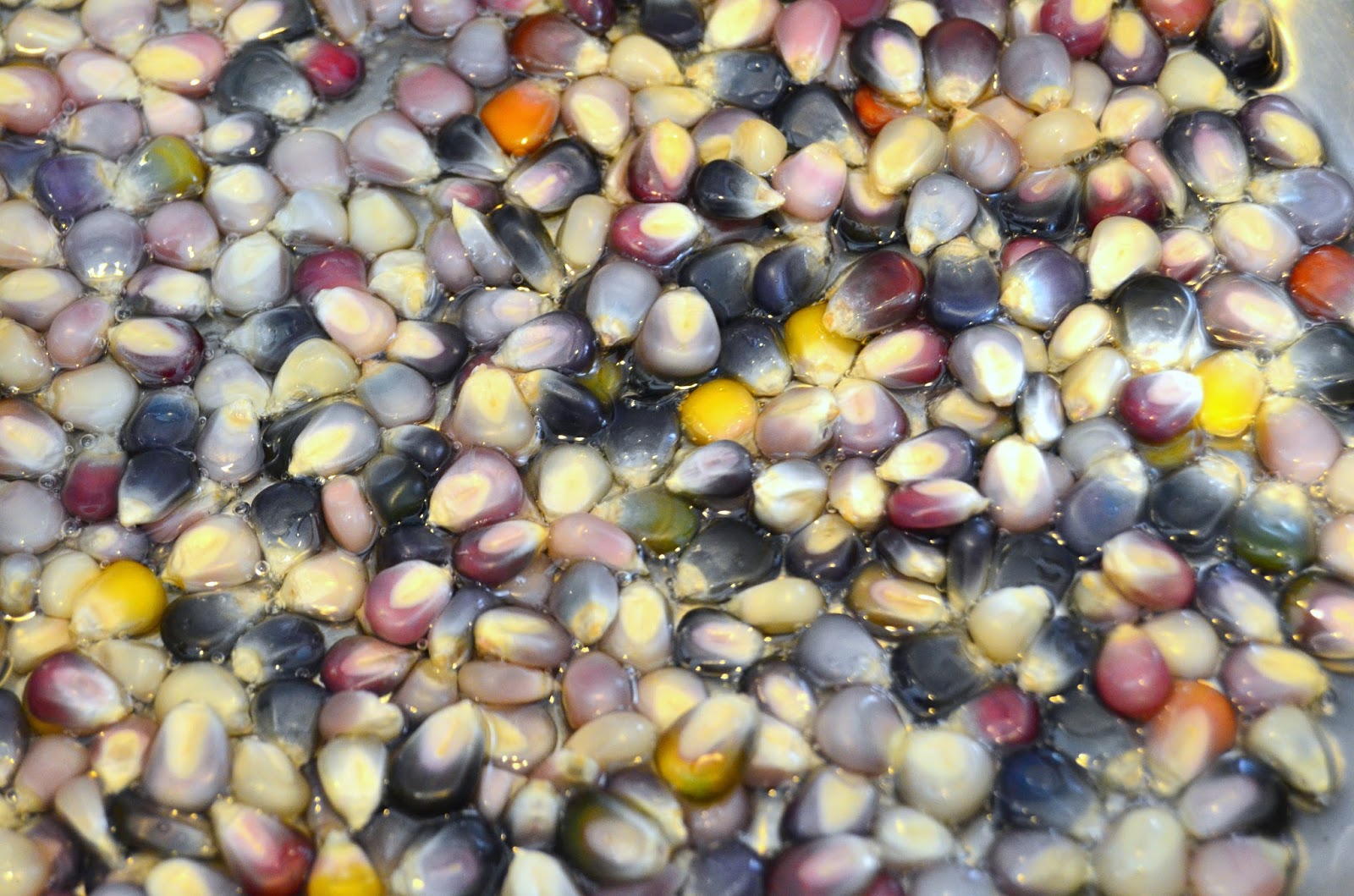 The Adventures of Six Hobbits Glass Gem Corn