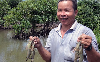 Thu nhập hàng trăm triệu mỗi năm nhờ nuôi thủy sản dưới tán rừng