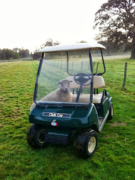 Mobile Sheep!