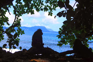 Yaki Tangkoko