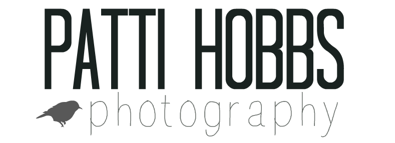 Patti Hobbs Photography