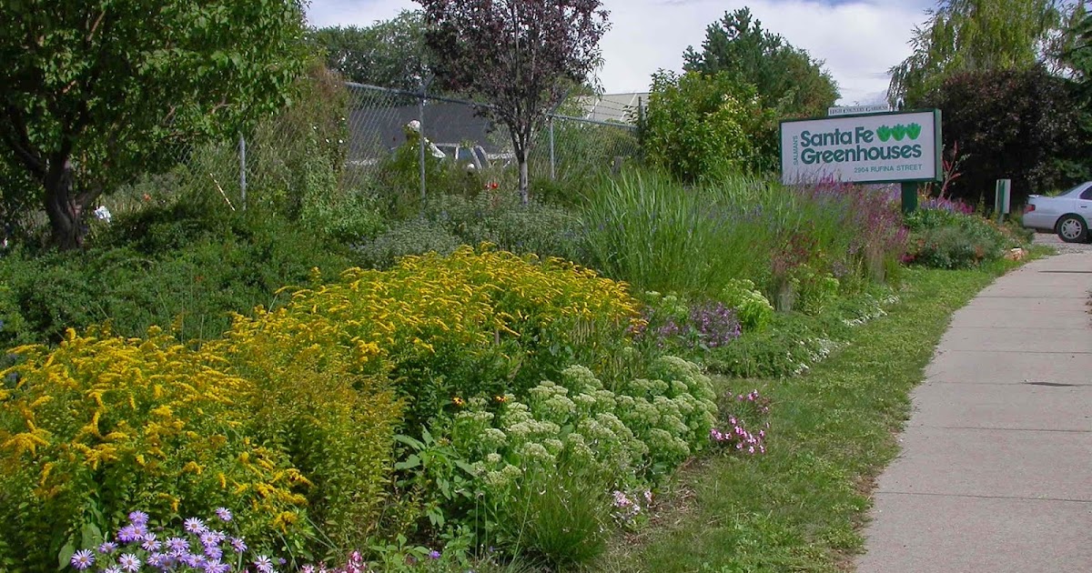 Soil Secrets Success Restoration of Site Soil Ecology