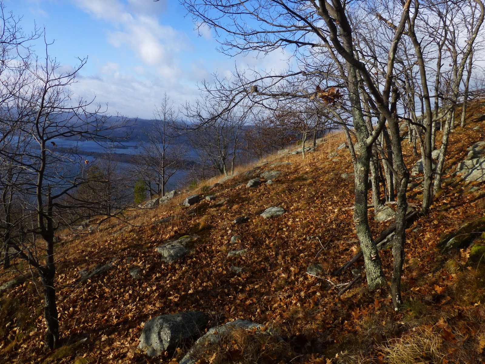 Off on Adventure Pilot Knob Mountain Lake Wild Forest 12/19/15