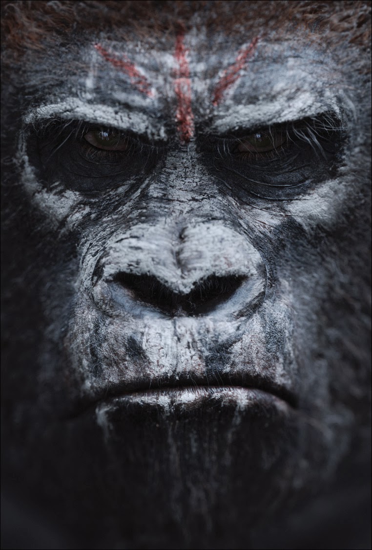 Dawn of the planet of the apes Dawn+of+the+Planet+of+the+Apes+Poster+(4)