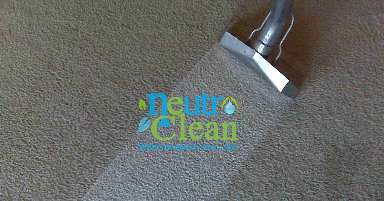 Lavado de Alfombras y Muebles a Domicilio: Lavado de Alfombras, Lavado