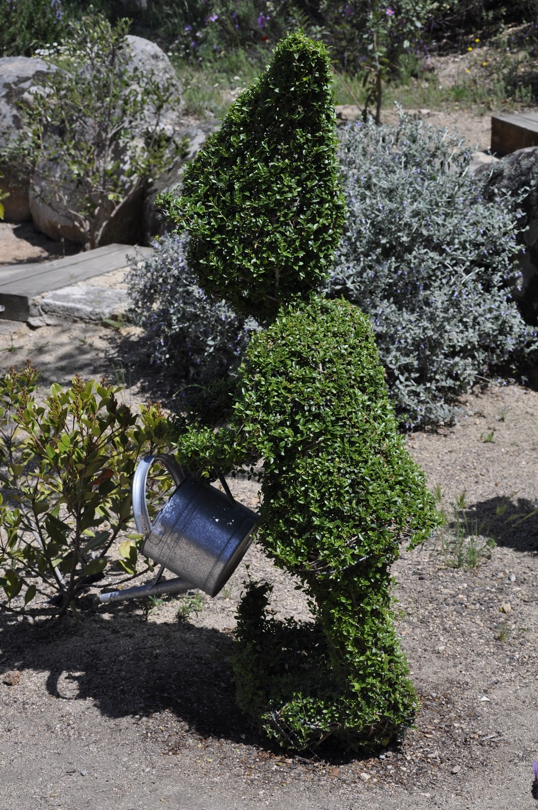 Blog de Sammy: EL BOSQUE ENCANTADO