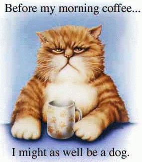 Coffee Cat D17 Coffee Cat D17