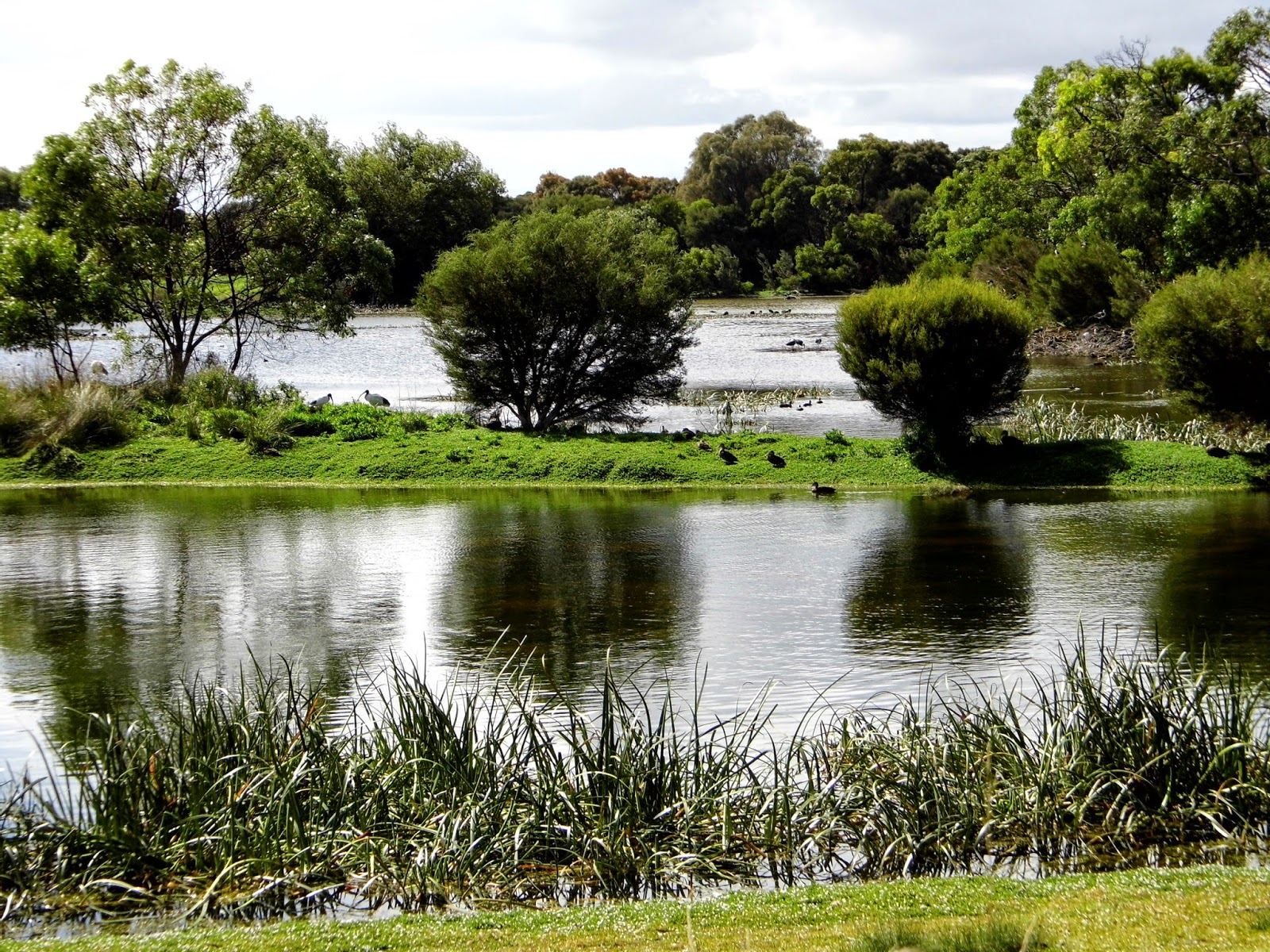 One Mother Hen Lake Mac in Autumn