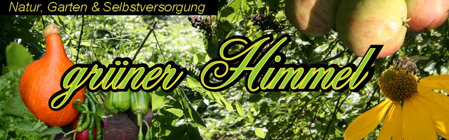 grüner Himmel